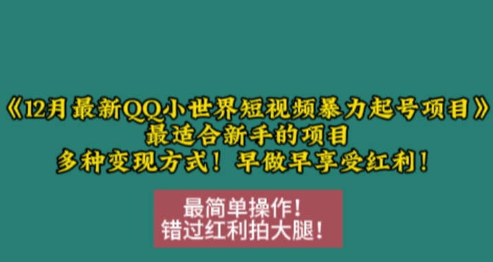 12月最新QQ小世界短视频暴力起号项目，最适合新手的项目，多种变现方式-羽哥创业课堂