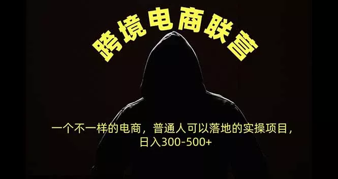 跨境电商联营,一个不一样的电商,普通人可操作日入300-500+-羽哥创业课堂