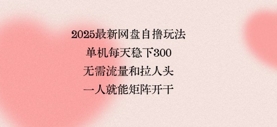 2025最新网盘自撸玩法，单机每天稳下3张，无需流量和拉人头，一个人就可轻松矩阵，全网独一份【揭秘】-羽哥创业课堂