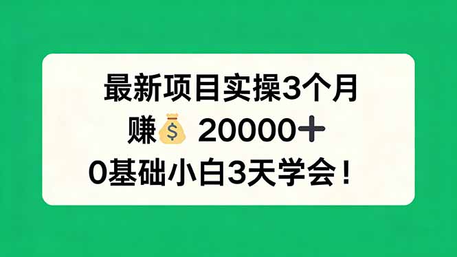 最新项目实操3个月，赚钱20000+，0基础小白3天学会！-羽哥创业课堂