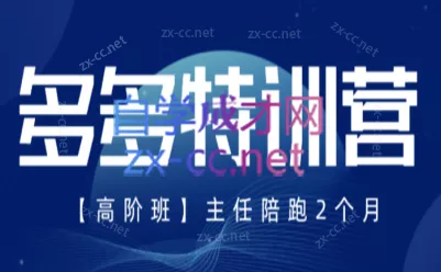 纪主任·拼多多特训营(更新8月)-羽哥创业课堂