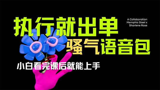 爆火全网的开车导航骚气语音包,只要执行就出单，小白看完课程就能实操…-羽哥创业课堂