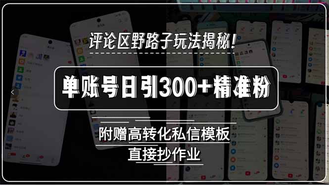 评论区野路子玩法揭秘！单账号日引300+精准粉，附赠高转化私信模板，直…-羽哥创业课堂