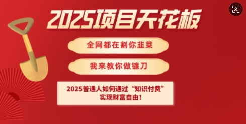 2025项目天花板普通人如何通过知识付费,实现财F自由【揭秘】-羽哥创业课堂
