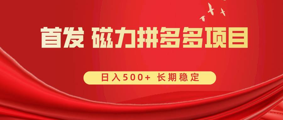 首发 磁力拼多多自撸  日入500-羽哥创业课堂