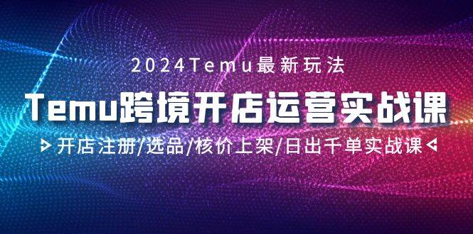 2024Temu跨境开店运营实战课，开店注册/选品/核价上架/日出千单实战课-羽哥创业课堂