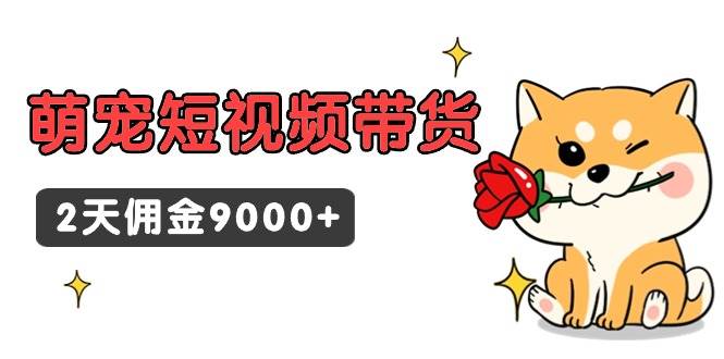 东哲日记·萌宠短视频带货,2天佣金9000+-羽哥创业课堂