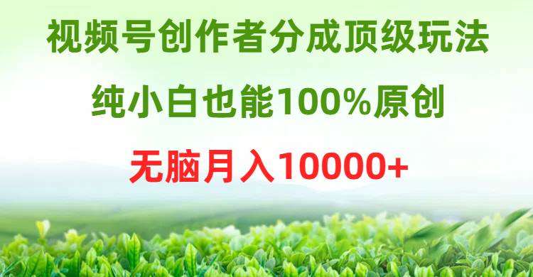 视频号创作者分成顶级玩法，纯小白也能100%原创，无脑月入10000+-羽哥创业课堂
