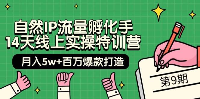 自然IP流量孵化手 14天线上实操特训营【第9期】月入5w+百万爆款打造 (74节)-羽哥创业课堂