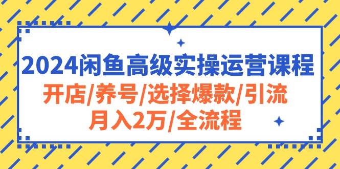 2024闲鱼高级实操运营课程：开店/养号/选择爆款/引流/月入2万/全流程-羽哥创业课堂